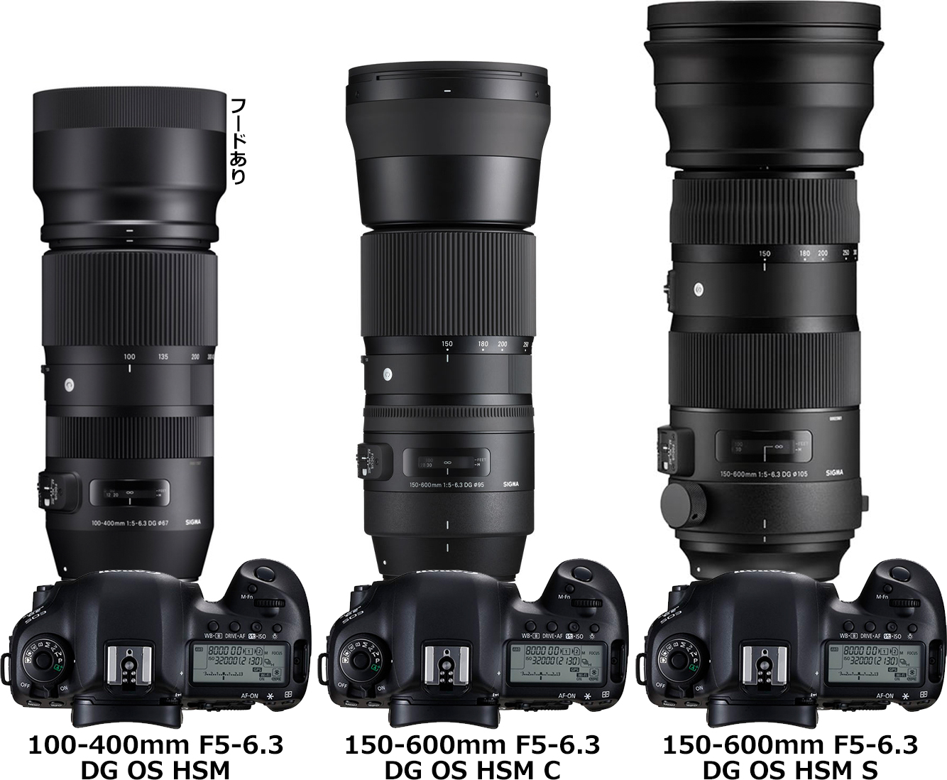 SIGMA 100-400mm F5-6.3 DG OS HSM EFマウント-