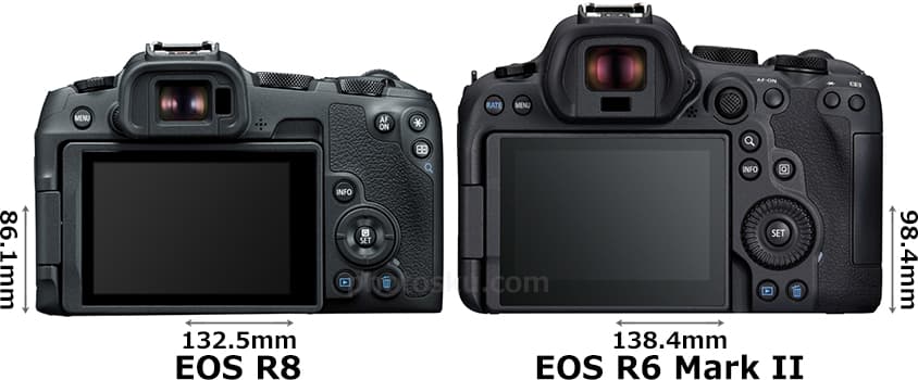 「EOS R8」と「EOS R6 Mark II」 2