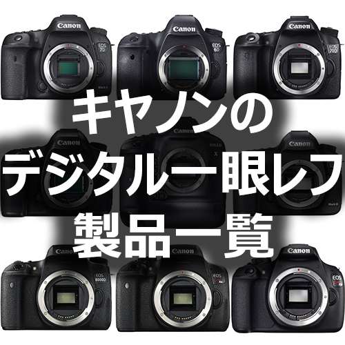 デジタル一眼レフカメラ  キヤノン キャノン Canon