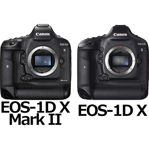 EOS-1D X Mark II」と「EOS-1D X」の違い - フォトスク