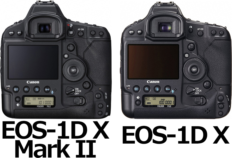 背面：EOS-1D X Mark II vs. EOS-1D X