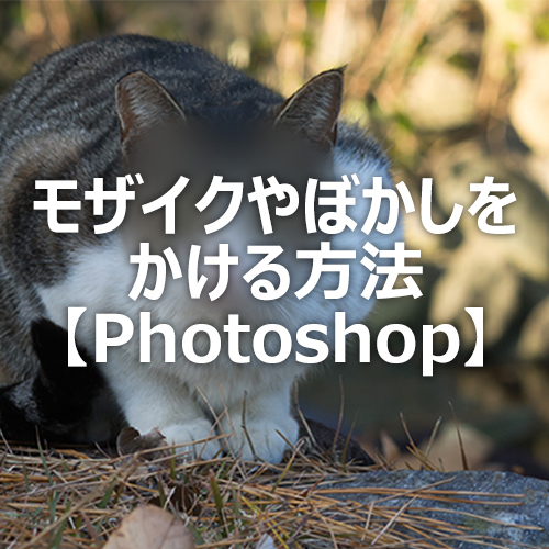 Photoshop モザイクやぼかしのかけ方 フォトスク