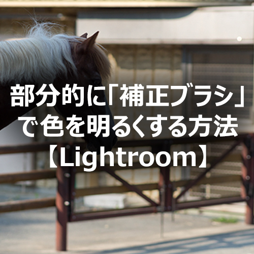 Lightroom 部分的に 補正ブラシ で色を明るくする方法 フォトスク