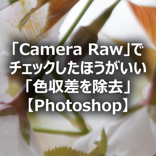 Photoshop Camera Raw でチェックしたほうがいい 色収差を除去 フォトスク