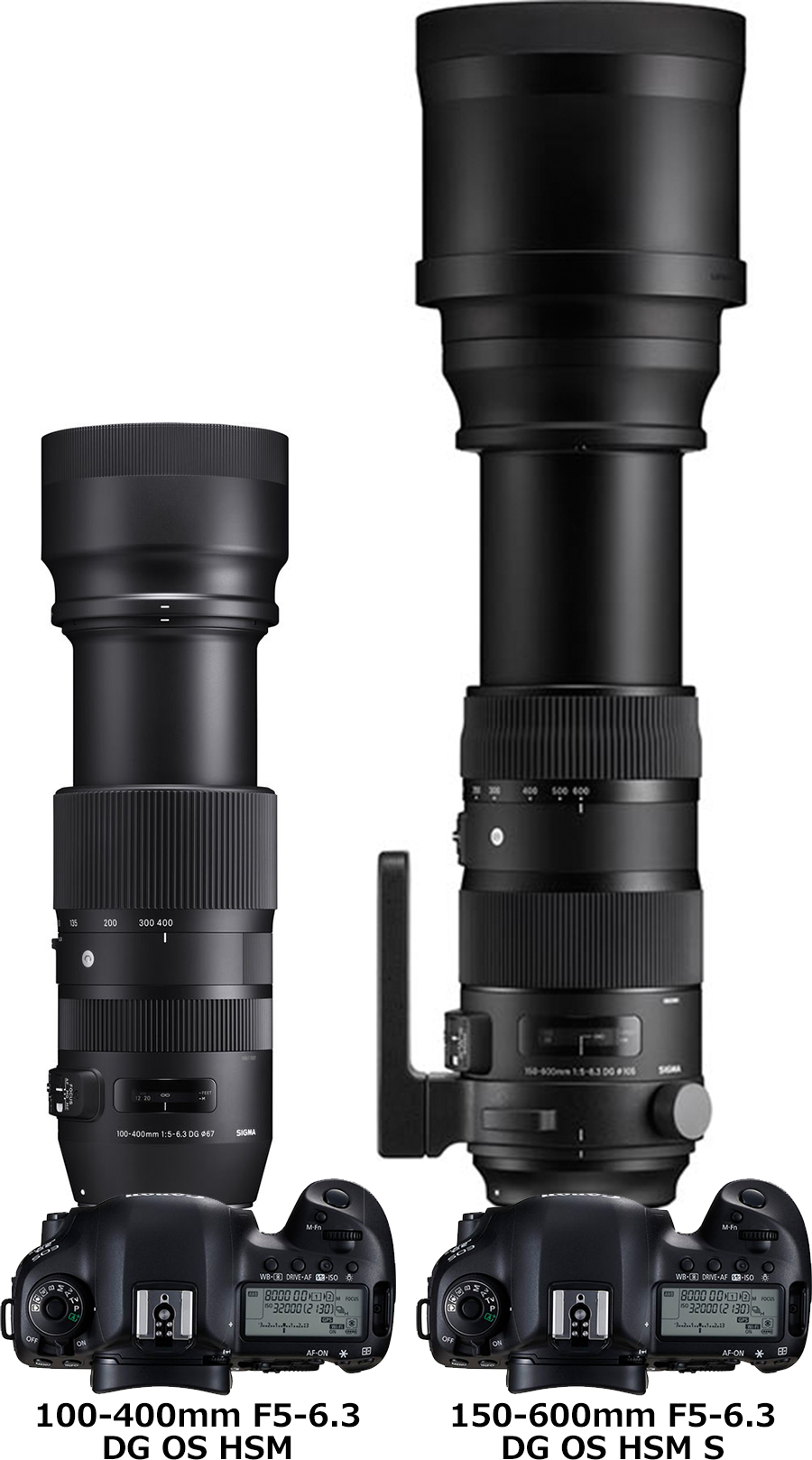 シグマ「100-400mm F5-6.3 DG OS HSM | Contemporary」と「150-600mm