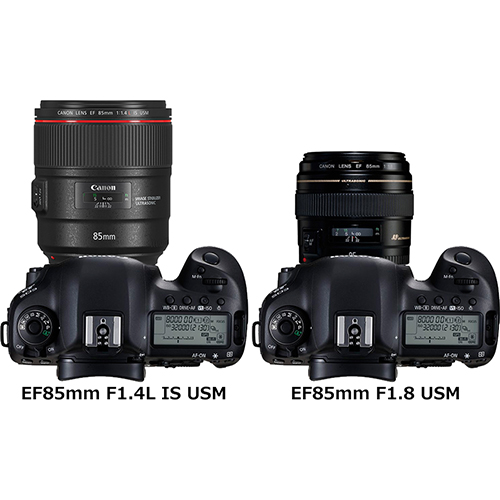 国内在庫有り canon EF85mm F1.8 USM 単焦点レンズ | www.tuttavia.eu