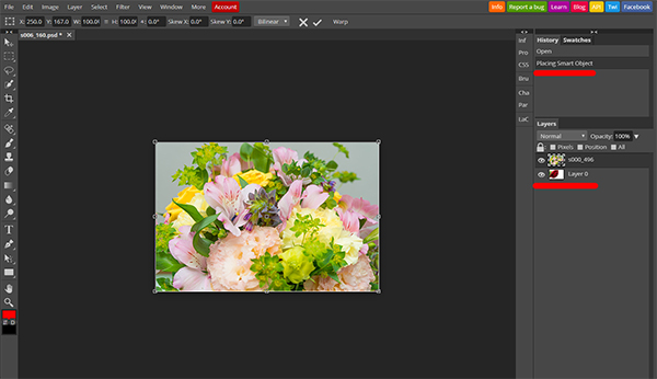 Photopea」(無料画像編集ツール)を使ってみました。 - フォトスク