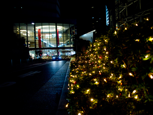 クリスマスイルミネーション 1 フォトスク 無料のフリー高画質写真素材画像
