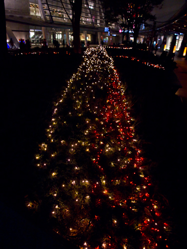 クリスマスイルミネーション 7 フォトスク 無料のフリー高画質写真素材画像