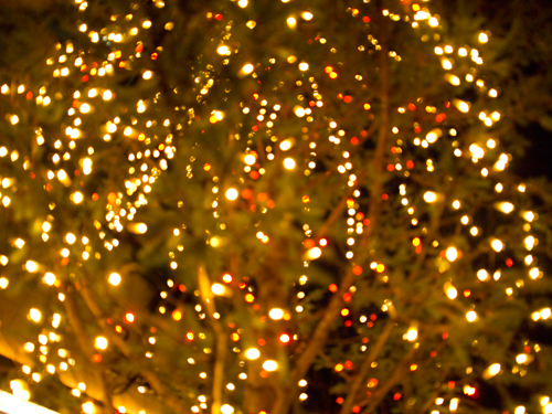 クリスマスイルミネーション 17 フォトスク 無料のフリー高画質写真素材画像