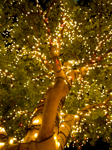 クリスマスイルミネーション 21 フォトスク 無料のフリー高画質写真素材画像