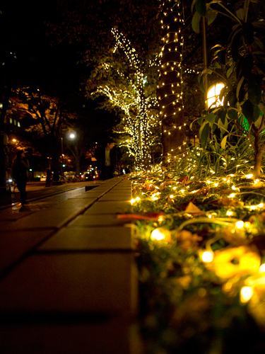 クリスマスイルミネーション 31 フォトスク 無料のフリー高画質写真素材画像