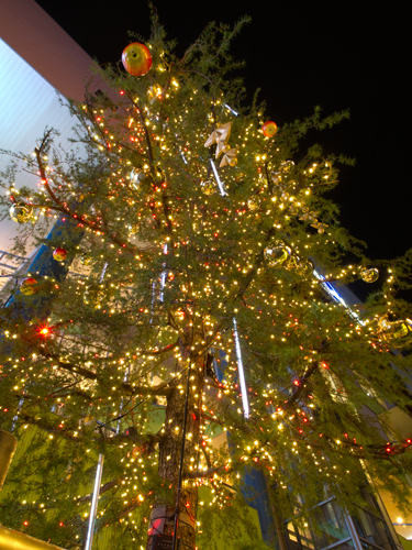 クリスマスイルミネーション 34 フォトスク 無料のフリー高画質写真素材画像