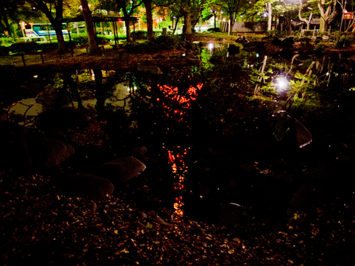 池に写った東京タワーの高画質画像