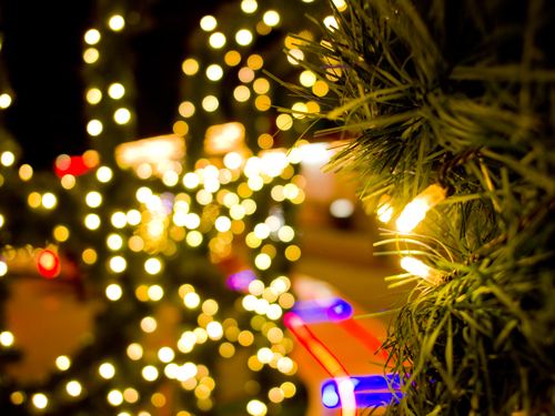 クリスマスイルミネーション 39 フォトスク 無料のフリー高画質写真素材画像