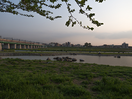夕暮れの多摩川の高画質画像
