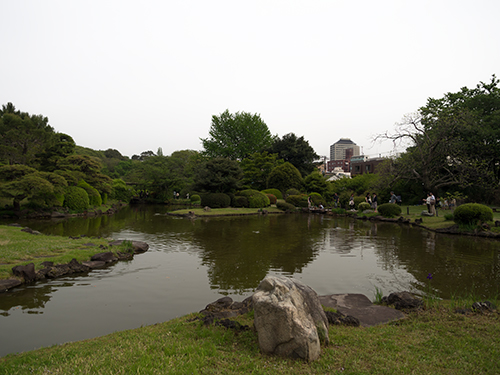 東京大学大学院理学系研究科附属植物園 1 フォトスク 無料のフリー高画質写真素材画像