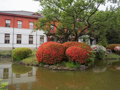 小石川植物園 34の高画質画像