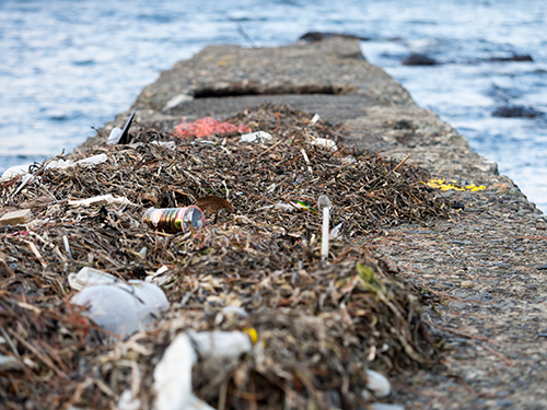 ゴミだらけの海 フォトスク 無料のフリー高画質写真素材画像