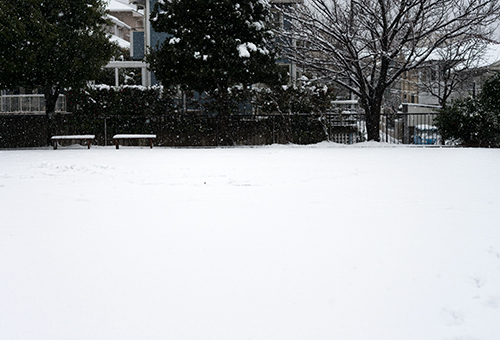 雪の公園の高画質画像