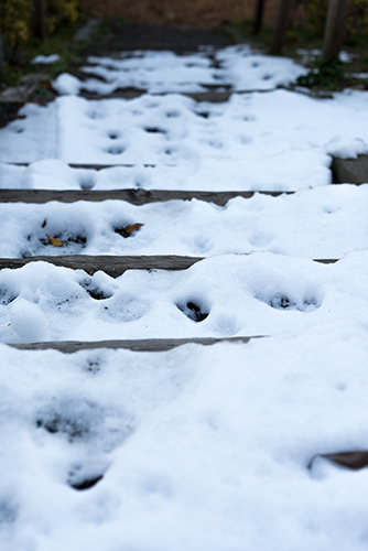 雪が積もった階段の高画質画像