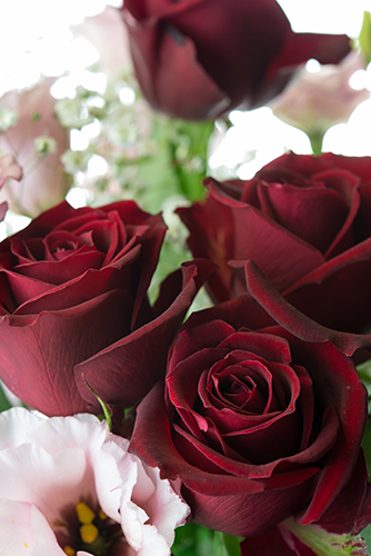 バラの花束 9 フォトスク 無料のフリー高画質写真素材画像