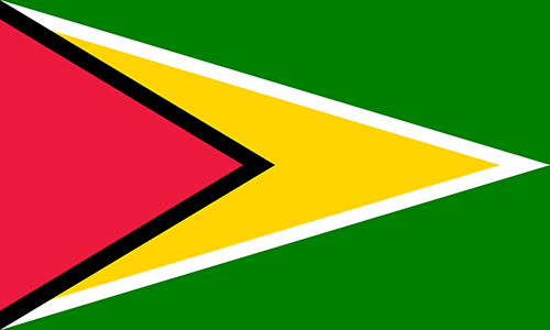 ガイアナの国旗の高画質画像