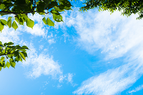 青空と葉 3 フォトスク 無料のフリー高画質写真素材画像