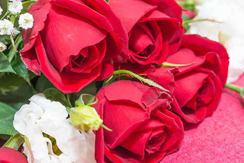 赤いバラの花束 1の高画質画像