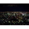 東京タワー、特別展望台からの眺め 6