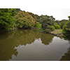 池、小石川植物園