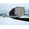 冬の小樽運河 6