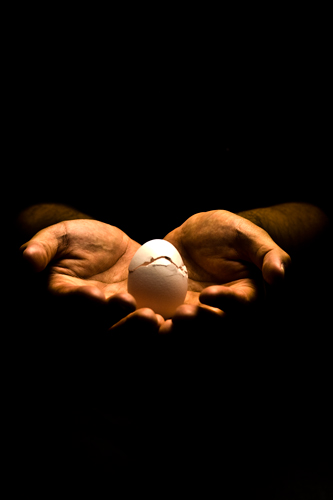 手の上の割れた卵 1の高画質画像