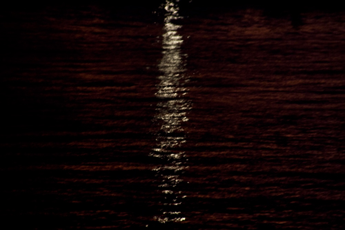 夜の海に反射した光の高画質画像