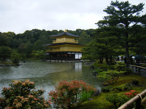 雨の金閣寺の高画質画像
