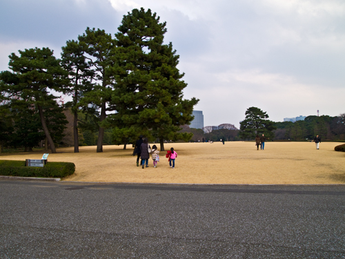 皇居の芝 1の高画質画像