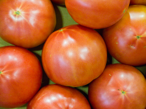 トマト 1の高画質画像