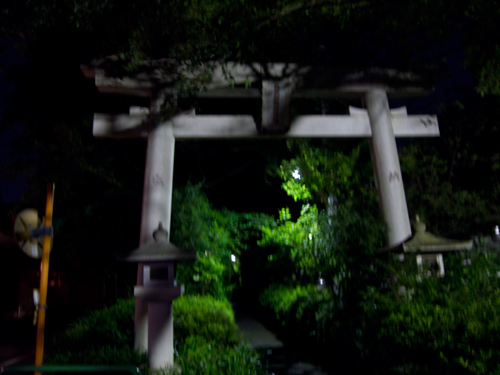 夜の神社の高画質画像