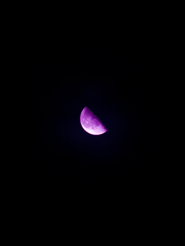 下弦の月の高画質画像