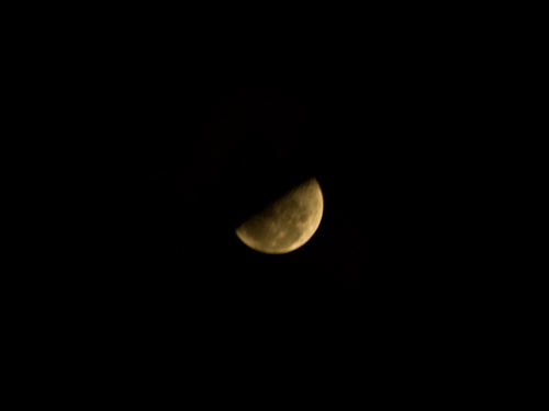 上弦の月の高画質画像