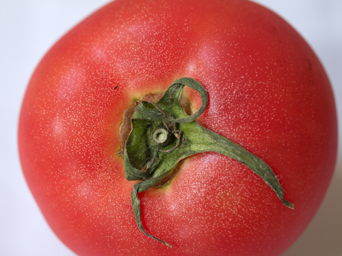 トマト 2の高画質画像