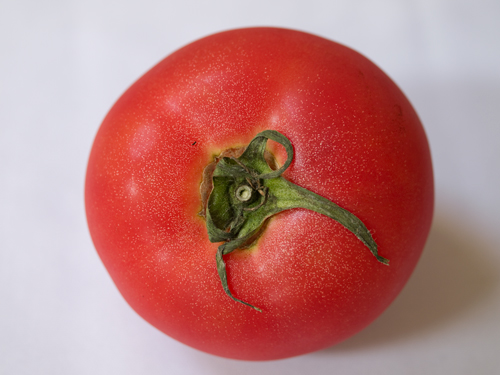 トマトの高画質画像