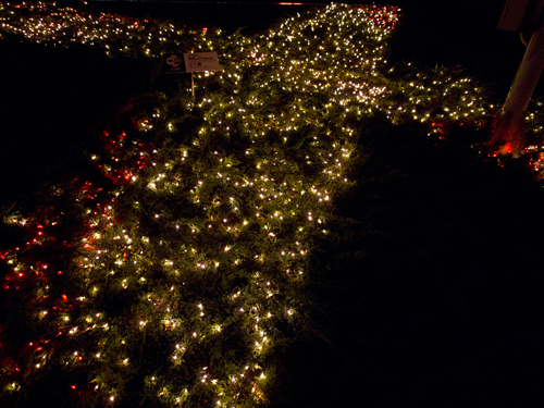 クリスマスイルミネーション 16の高画質画像