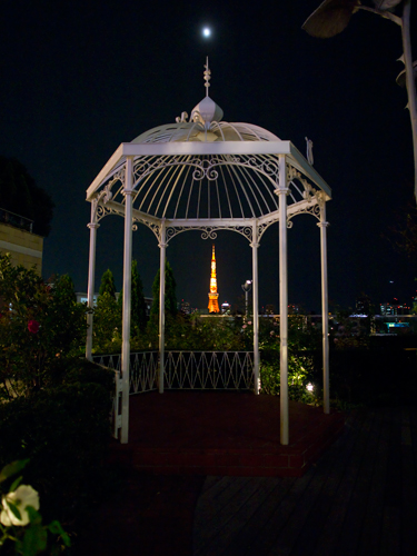 東京タワーと月 1の高画質画像