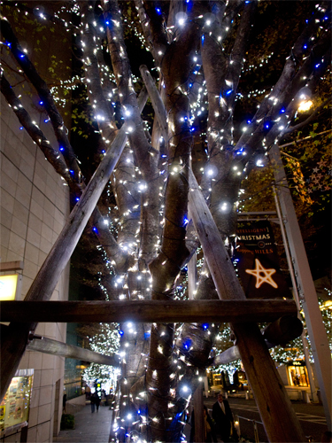 六本木クリスマスイルミネーション 2の高画質画像