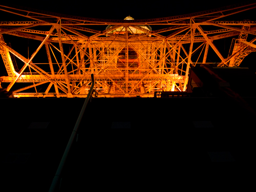 東京タワー 8の高画質画像