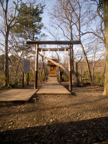 石神井公園、厳島神社の高画質画像