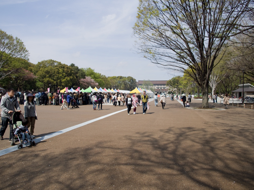 上野公園 3の高画質画像