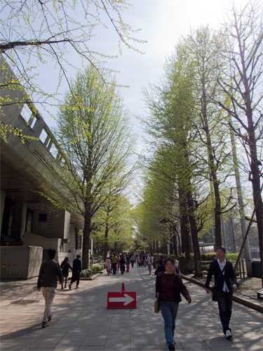 上野公園 5の高画質画像