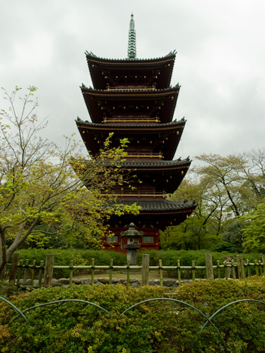上野動物園の五重塔の高画質画像